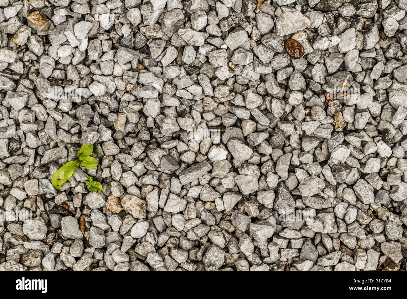 A seamless rock texture in gray color Stock Photo