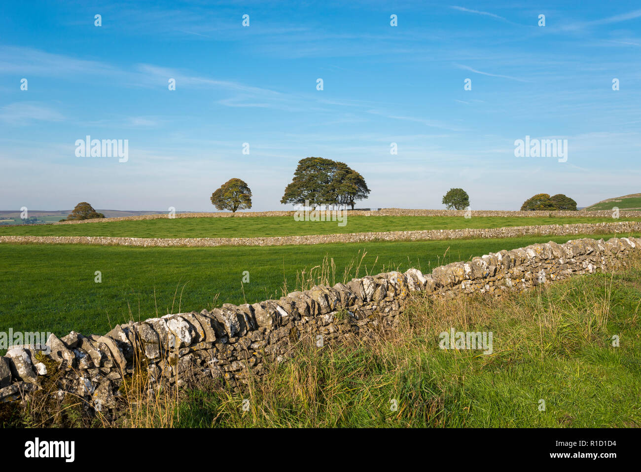 Countryside in the White Peak area of the Peak District near Buxton, Derbyshire, England. Limestone walls a characteristic of the area. Stock Photo