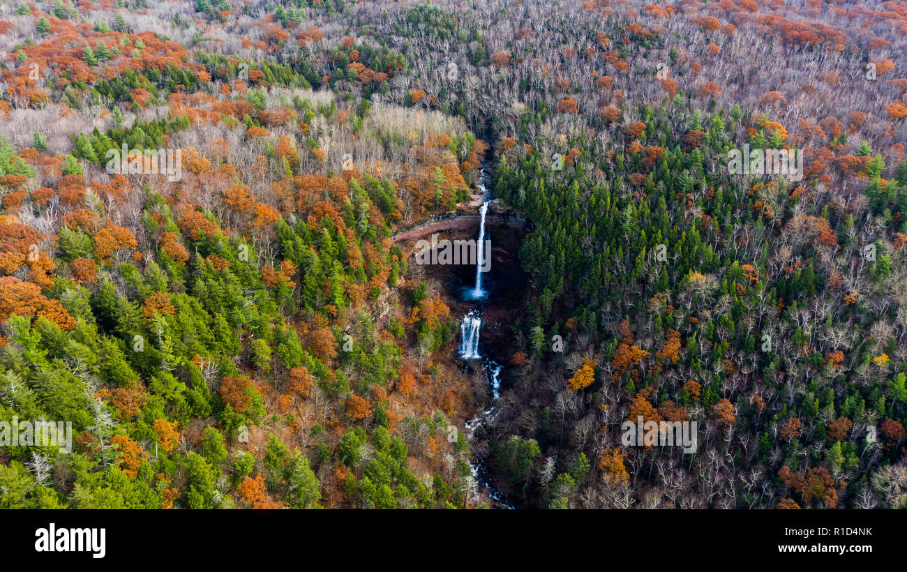 Scenic Tree Lined Country Road In The Catskill Mountains Of