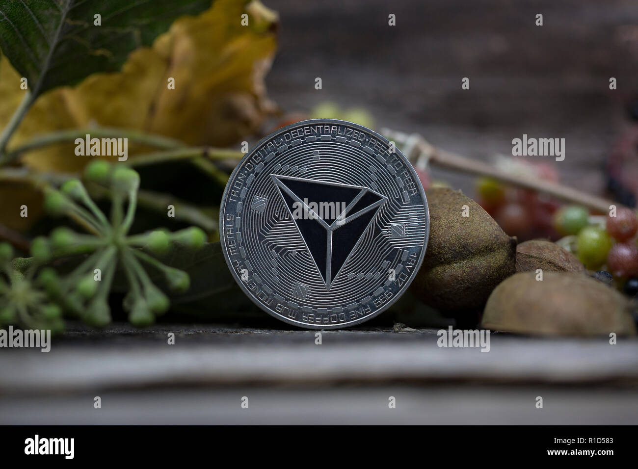Tron cryptocurrency physical coin placed on the wood and surrounded with autumn flora Stock Photo