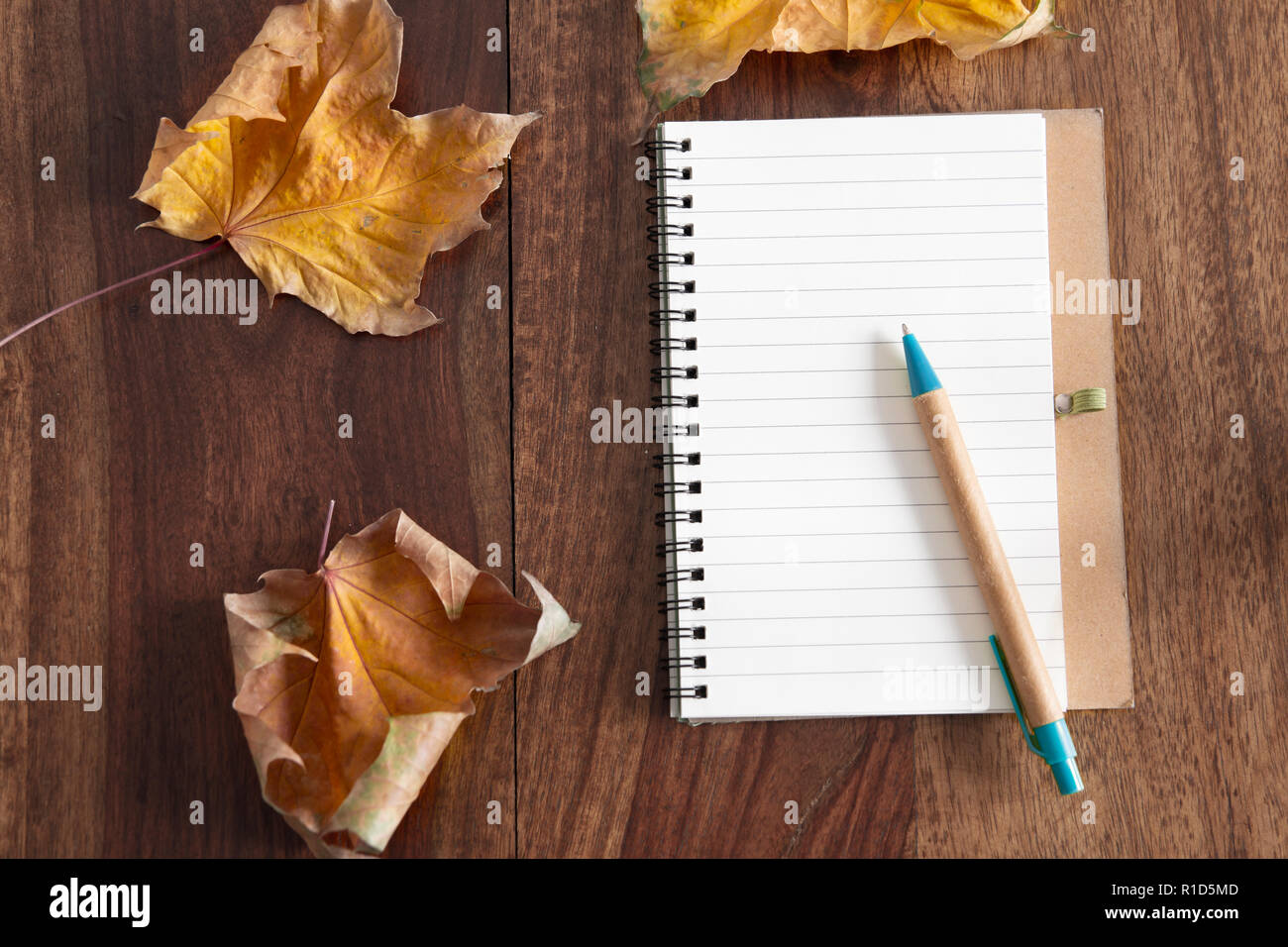 blank diary and autumn leaves on wood table flat lay Stock Photo