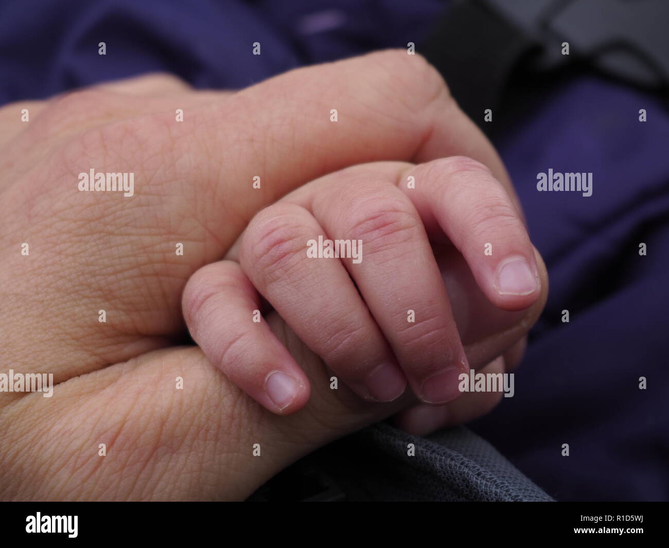 Baby hand gripping an adult hand by the thumb Stock Photo