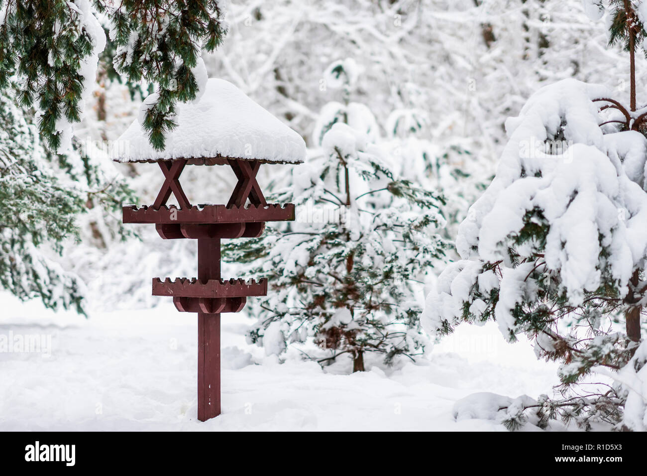 Winter wooden bird feeder close-up covered with snow, winter day in park Stock Photo