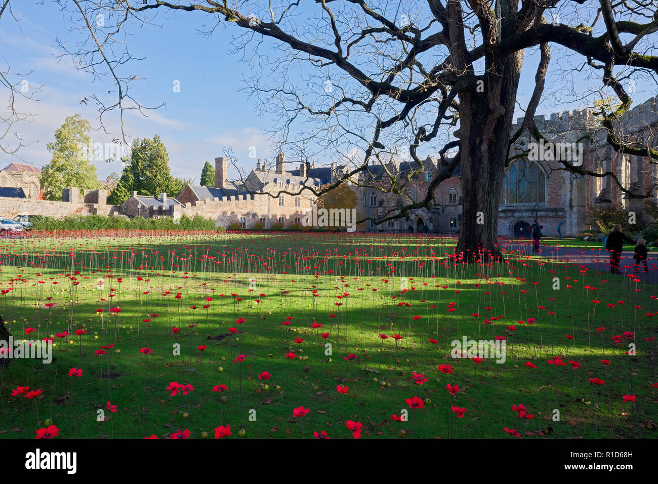 Remembrance Poppies at the Bishop's Palace croquet lawn in Wells, Somerset, UK Stock Photo