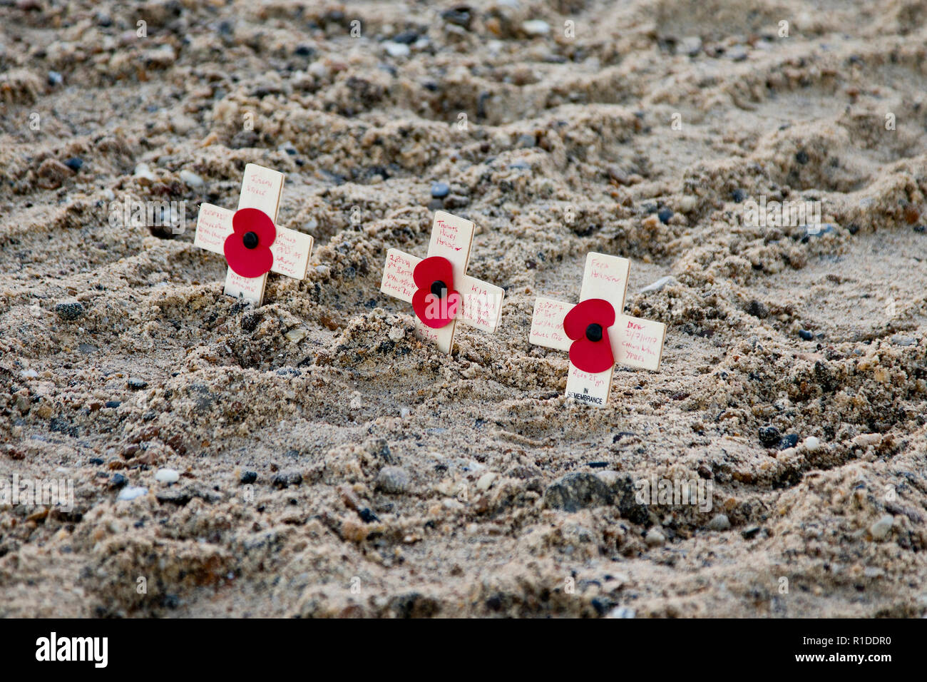 Wild fires in California, USA. 11th Nov, 2018. Three crosses baring poppies placed in the sand on Gorleston beach, putting names to some of the heroes of World War One who left British shores never to return marking 100 years after the end of the conflict. Credit: Adrian Buck/Alamy Live News Stock Photo