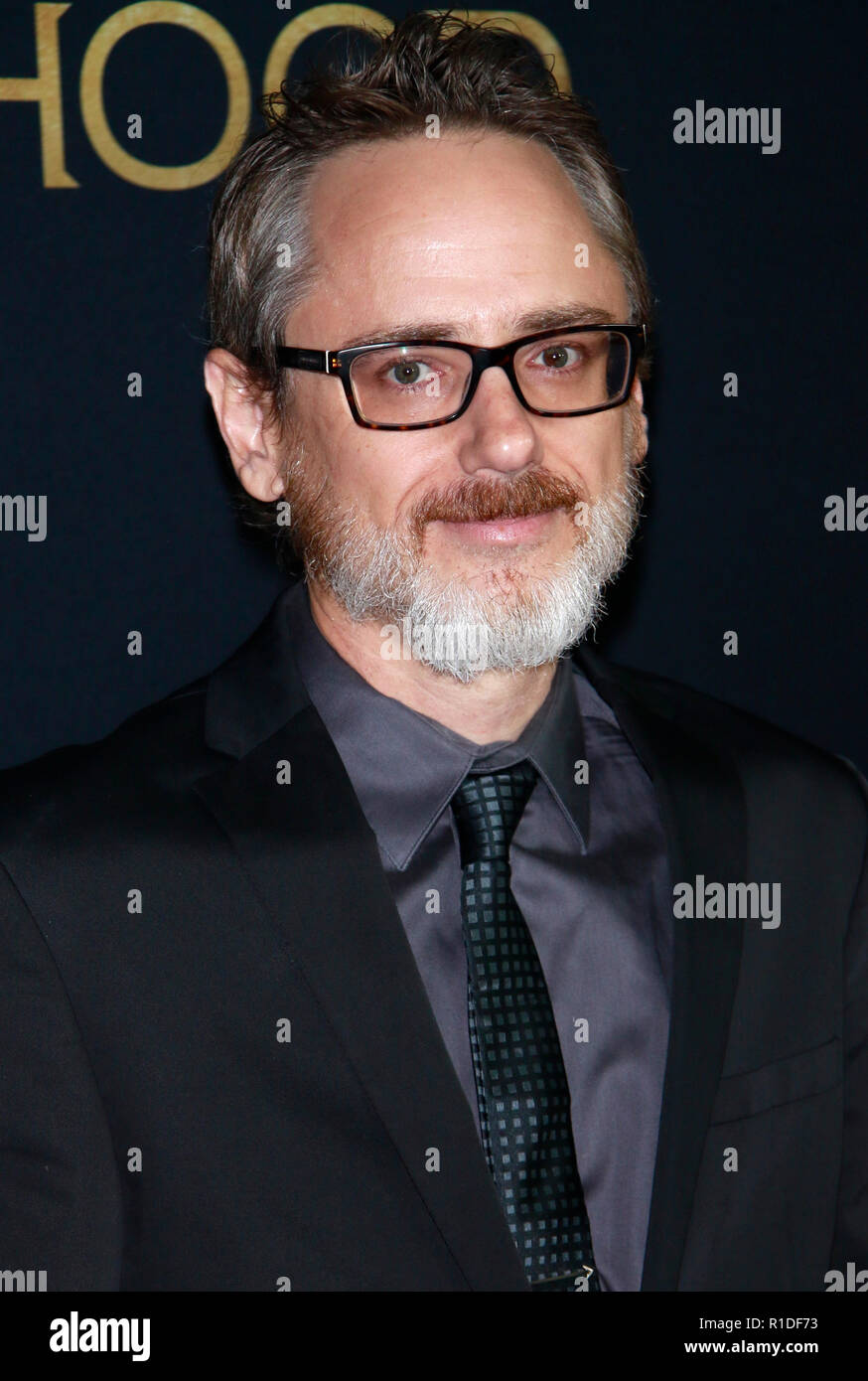 New York, NY, USA. 11th Nov, 2018. David James Kelly at the New York