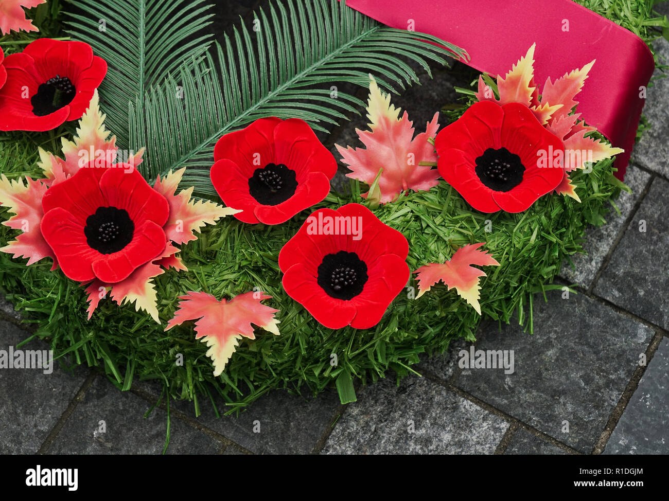 Remembrance day ceremony poppy hi-res stock photography and images - Alamy