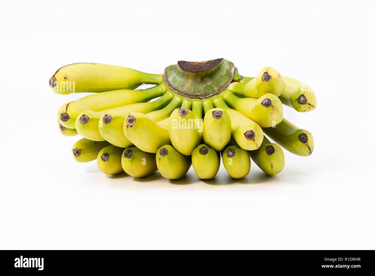 Lady Finger Banana High Resolution Stock Photography And Images Alamy