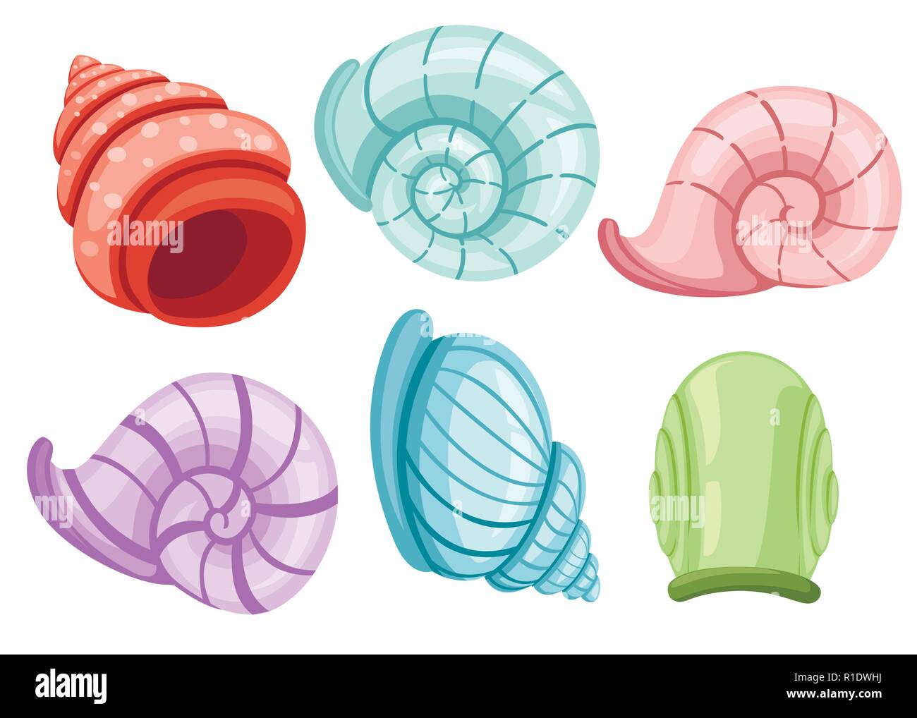 Colorful set of snails shells. Different shapes and colors