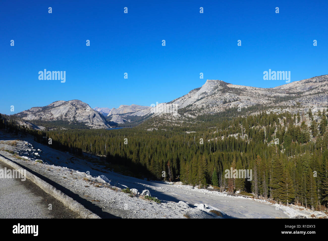 Beautiful view of the mountains, in the foreground the forest. Stock Photo