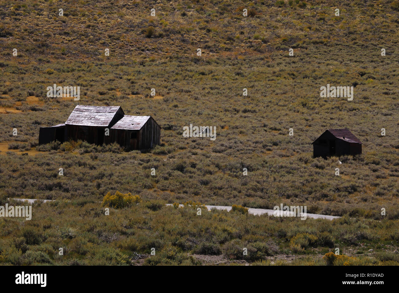 Abandoned houses in the desert after the gold rush, Bodie, Ghost Town, California Stock Photo