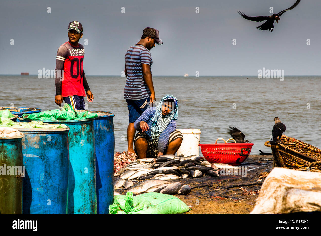 Fishing and salted fish production hot spot of Sri Lanka Stock Photo