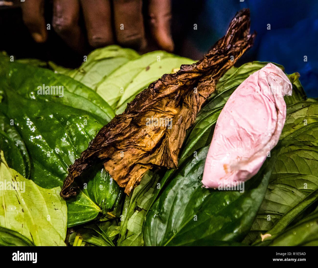 Betel leaves tobacco and Sri Lanka Stock Photo