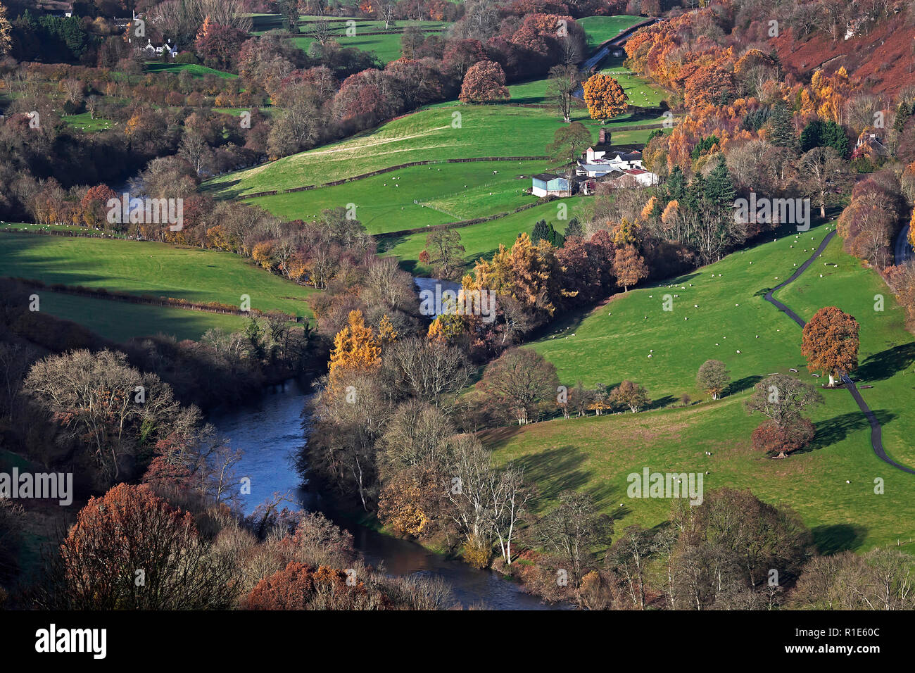 Wye Valley in Autumn near Builth Wells with late afternoon light, Wales, UK Stock Photo