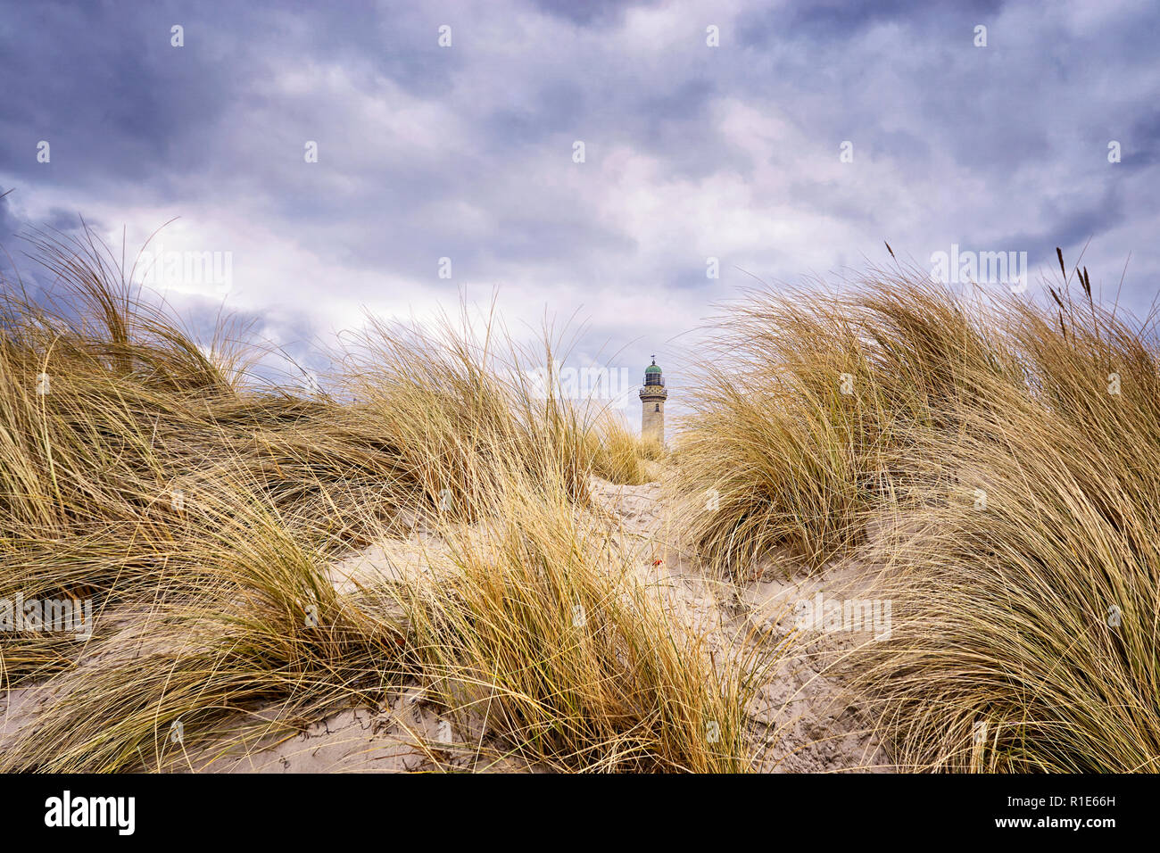 Panorama from the lighthouse in Warnemünde behind the dune grass. Stock Photo