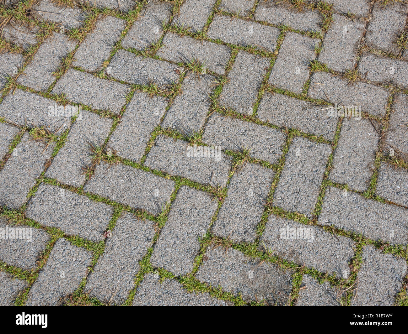 Weeds growing in cracks of concrete hi-res stock photography and images ...
