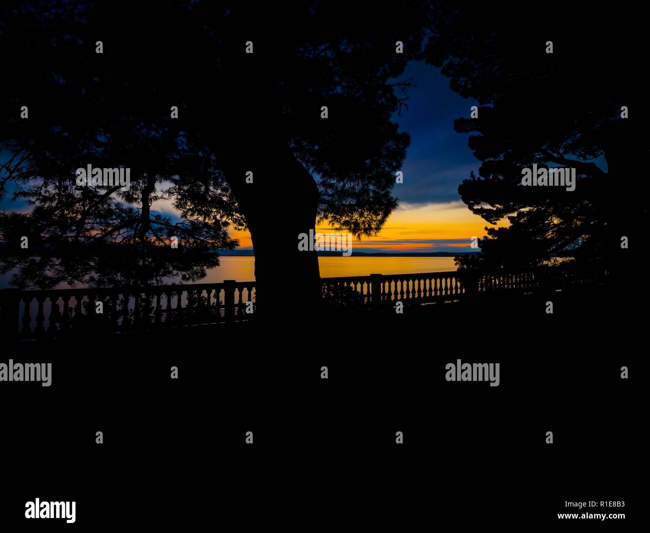 Long exposure horizon dusk park in foreground with big tree silhouette Stock Photo