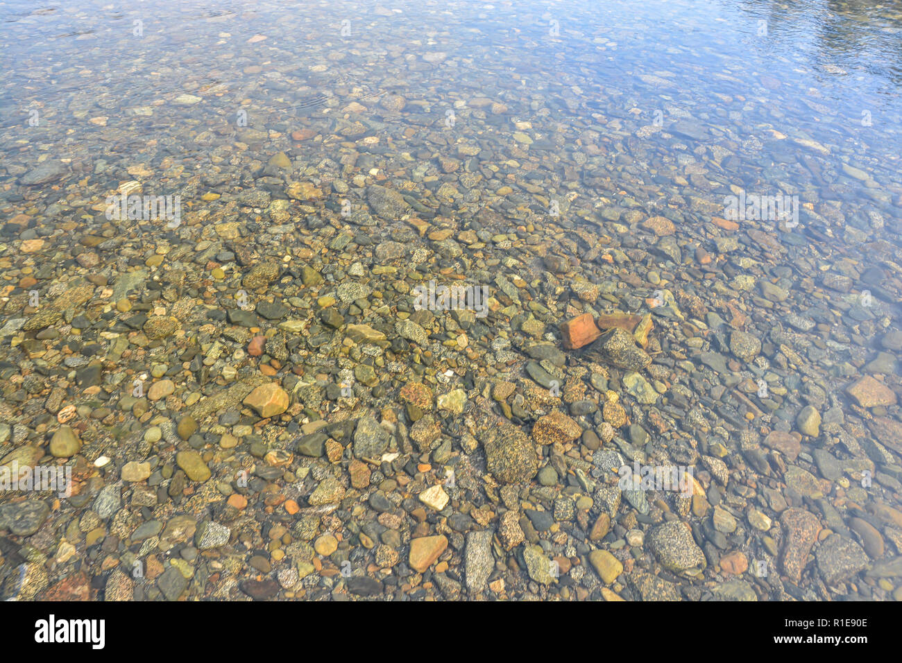 Background - river pebbles. The bottom of the river under a thin layer of water. Stock Photo