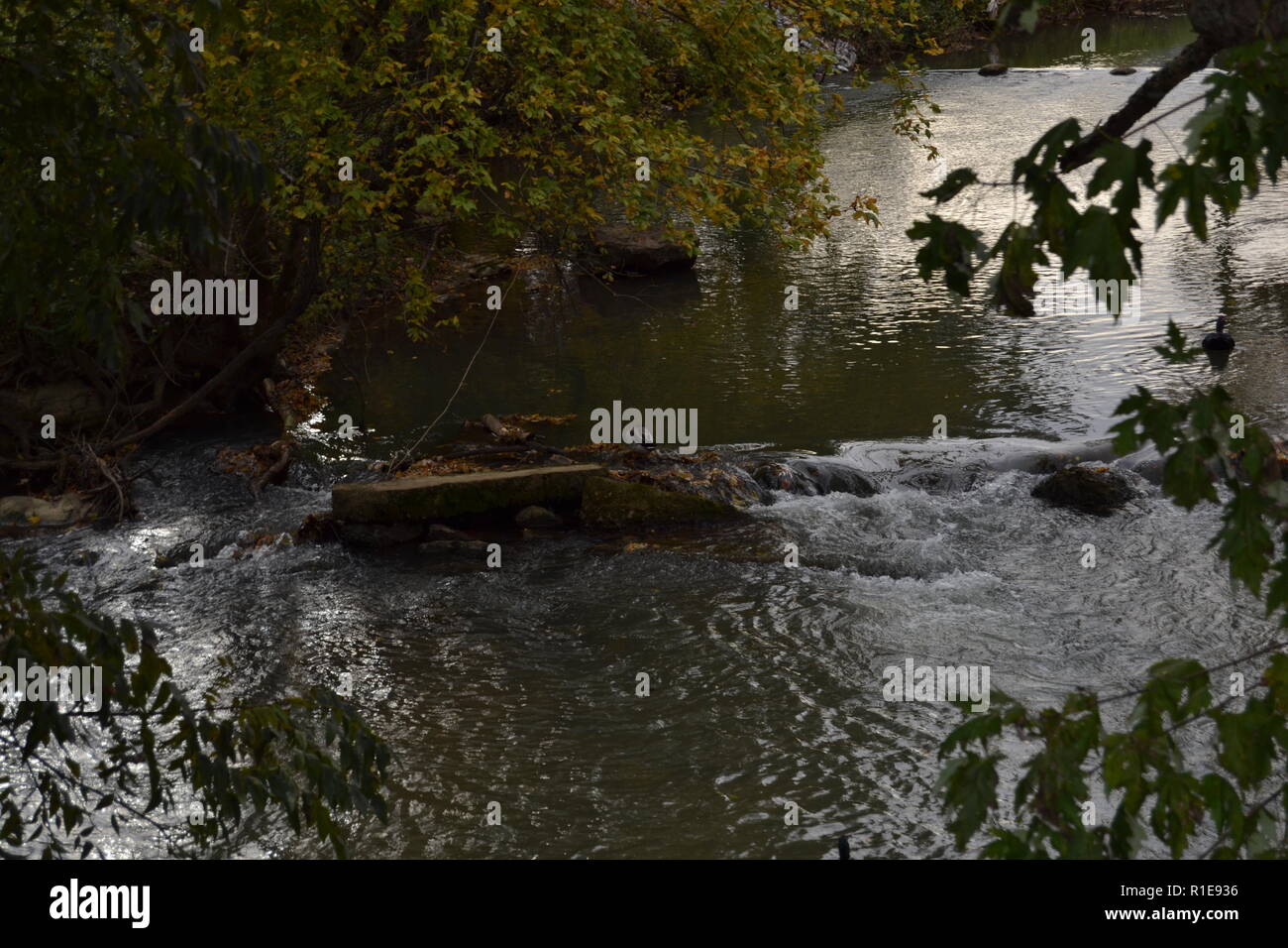 Fall landscape Sweetwater creek at Sweetwater Duck Park Stock Photo