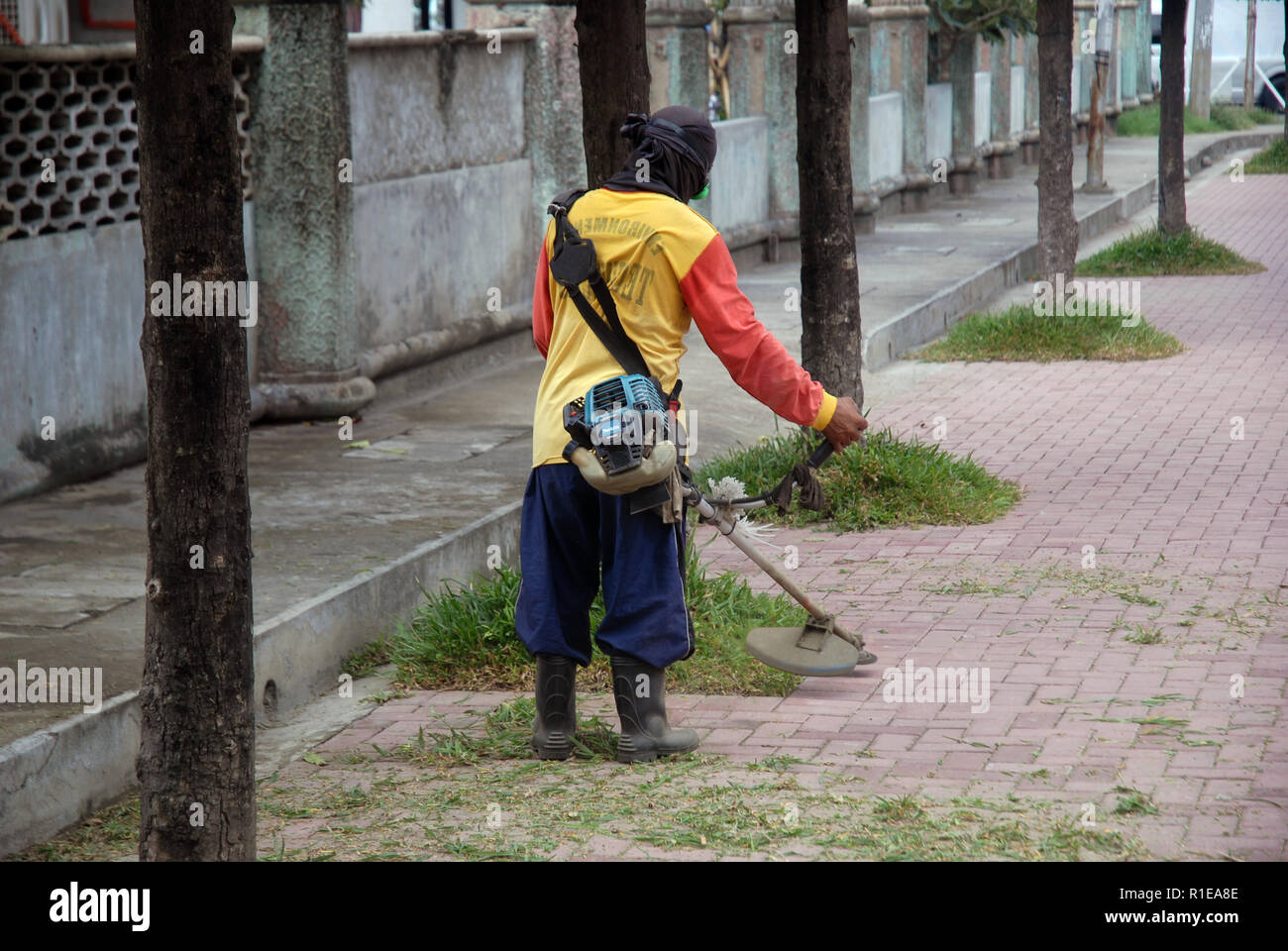 Workers cutting the grass with a whipper snipper, Dumagette, Philippines. Stock Photo