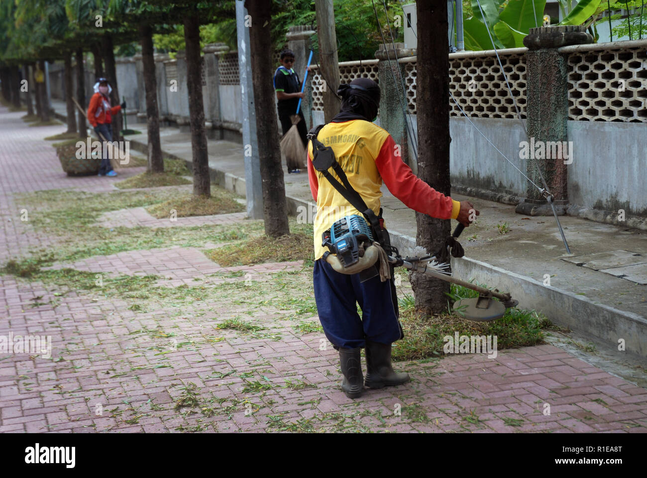 Workers cutting the grass with a whipper snipper, Dumagette, Philippines. Stock Photo