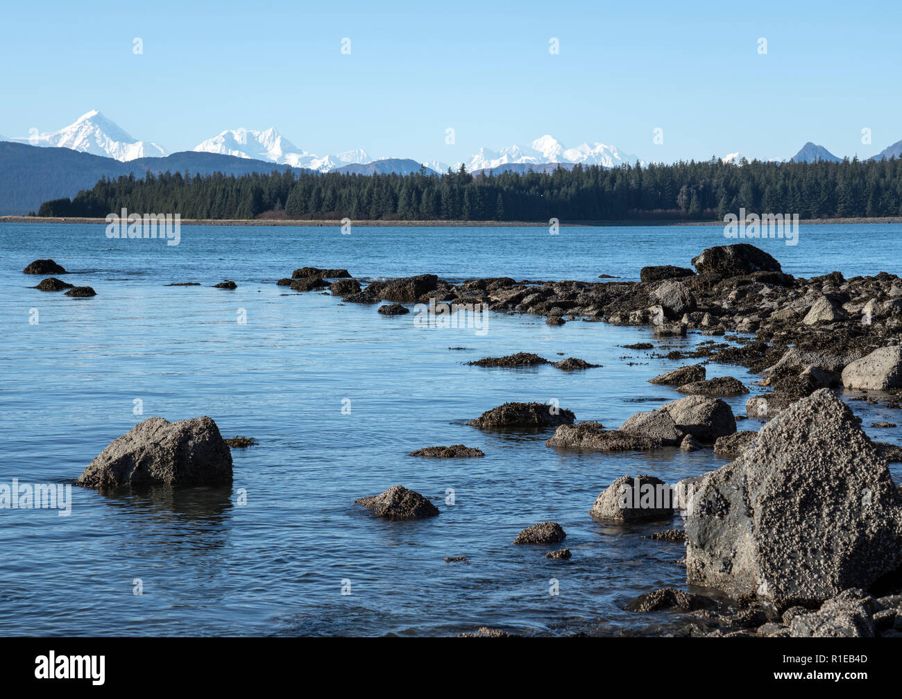 View from a hike along Bartlett Cove in Glacier Bay National Park in Southeast Alaska on a sunny day. Stock Photo