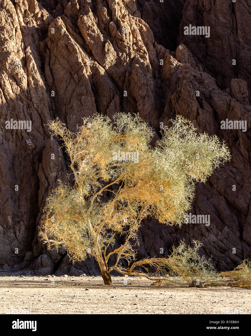 Ladder Canyon hike in Mecca, CA Stock Photo Alamy