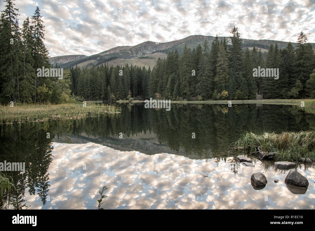 Vrbicke pleso lake with hills, forest and sky reflecting on its water ground on Demanovska dolina valley in Nizke Tatry mountains in Slovakia during a Stock Photo
