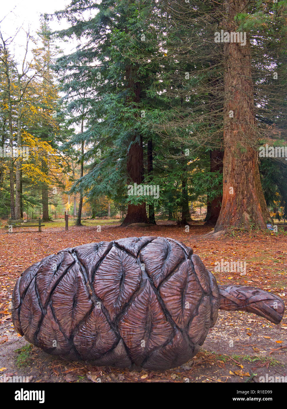 Seed sculpture in the New Forest National Park Stock Photo