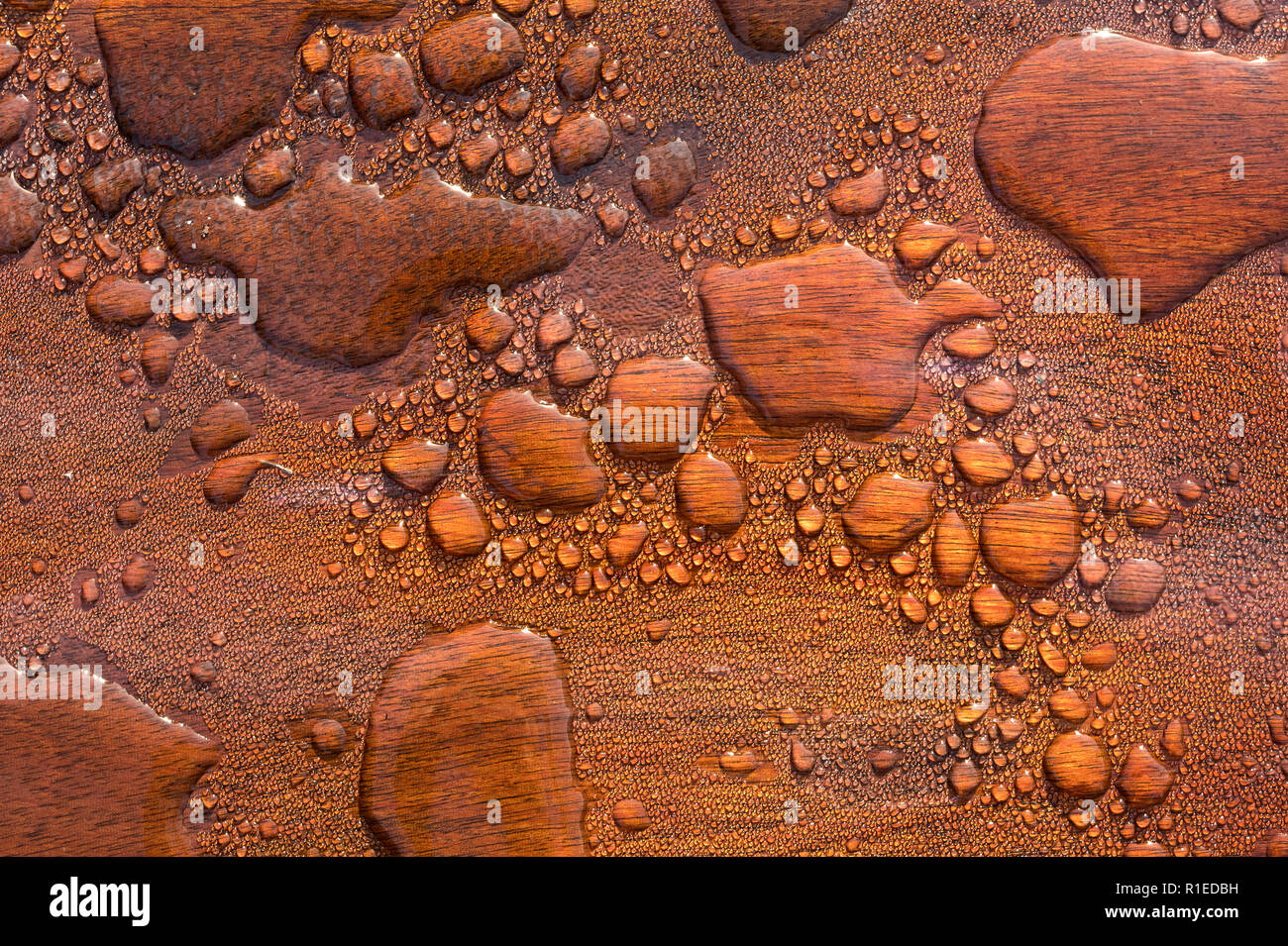 Water beads on a waterproof wooden surface Stock Photo Alamy