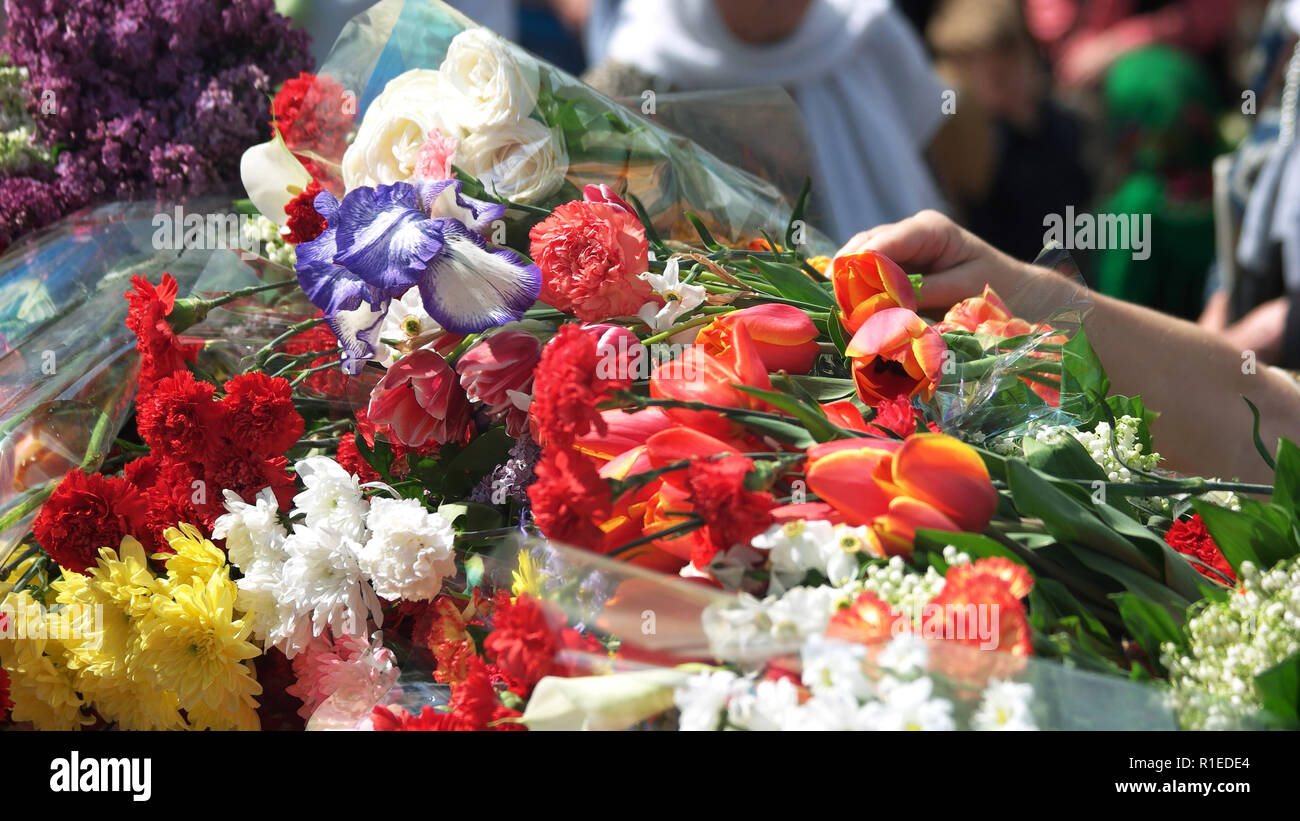 Great war veteran tomb hi res stock photography and images Alamy