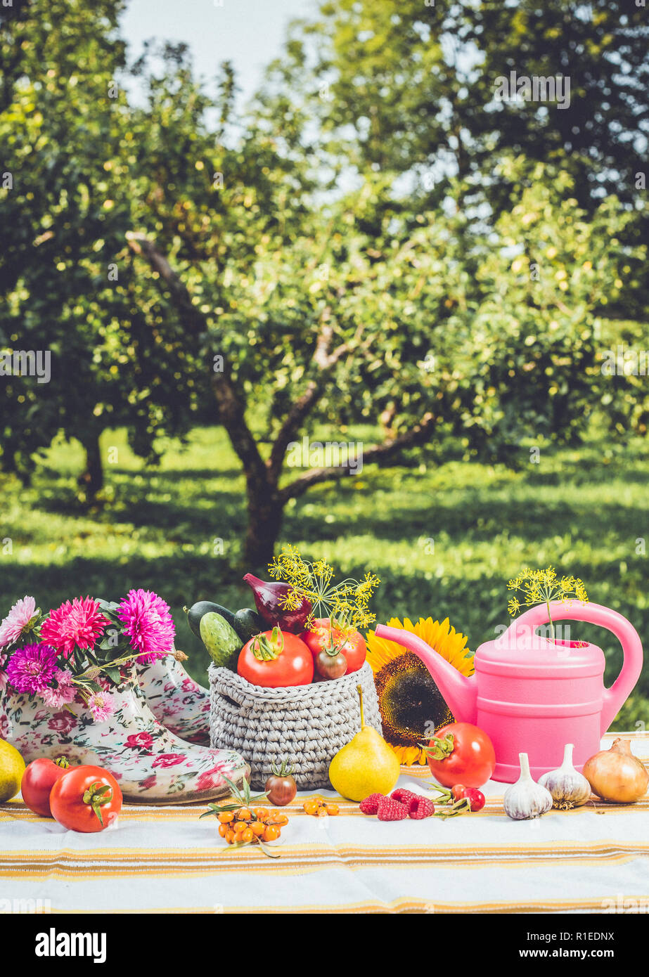 Seasonal gardening set background with various autumn fruits, vegetables gardener tools, pink watering can, white pink floral ankle wellies, outdoors Stock Photo