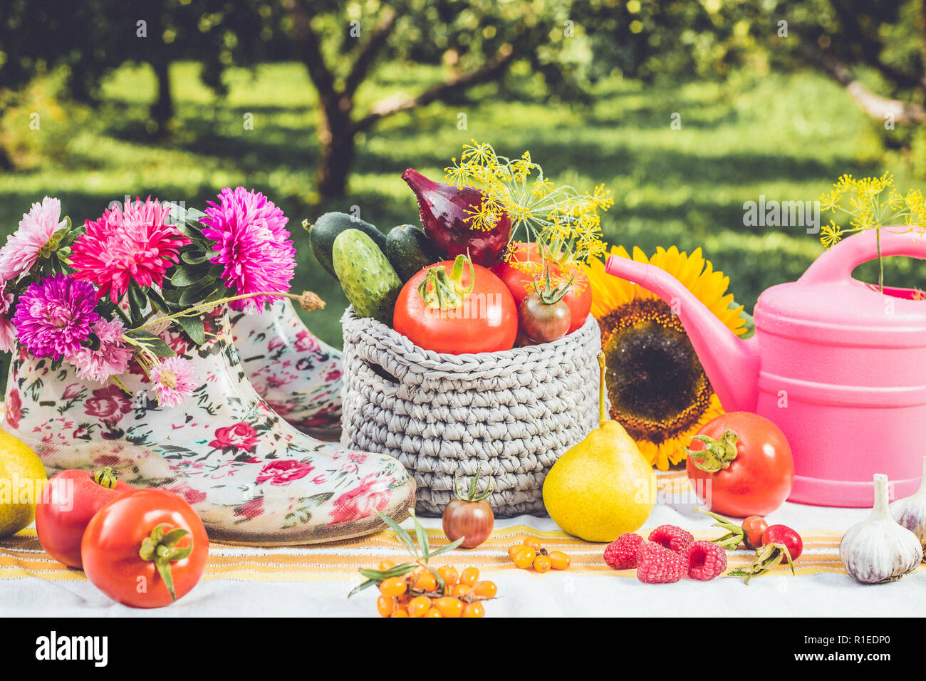 Seasonal gardening set background with various autumn fruits, vegetables gardener tools, pink watering can, white pink floral ankle wellies, outdoors Stock Photo