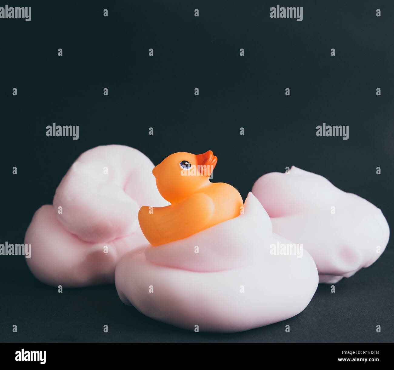 Orange rubber bath duck on pile of pink foam isolated on black background. Stock Photo