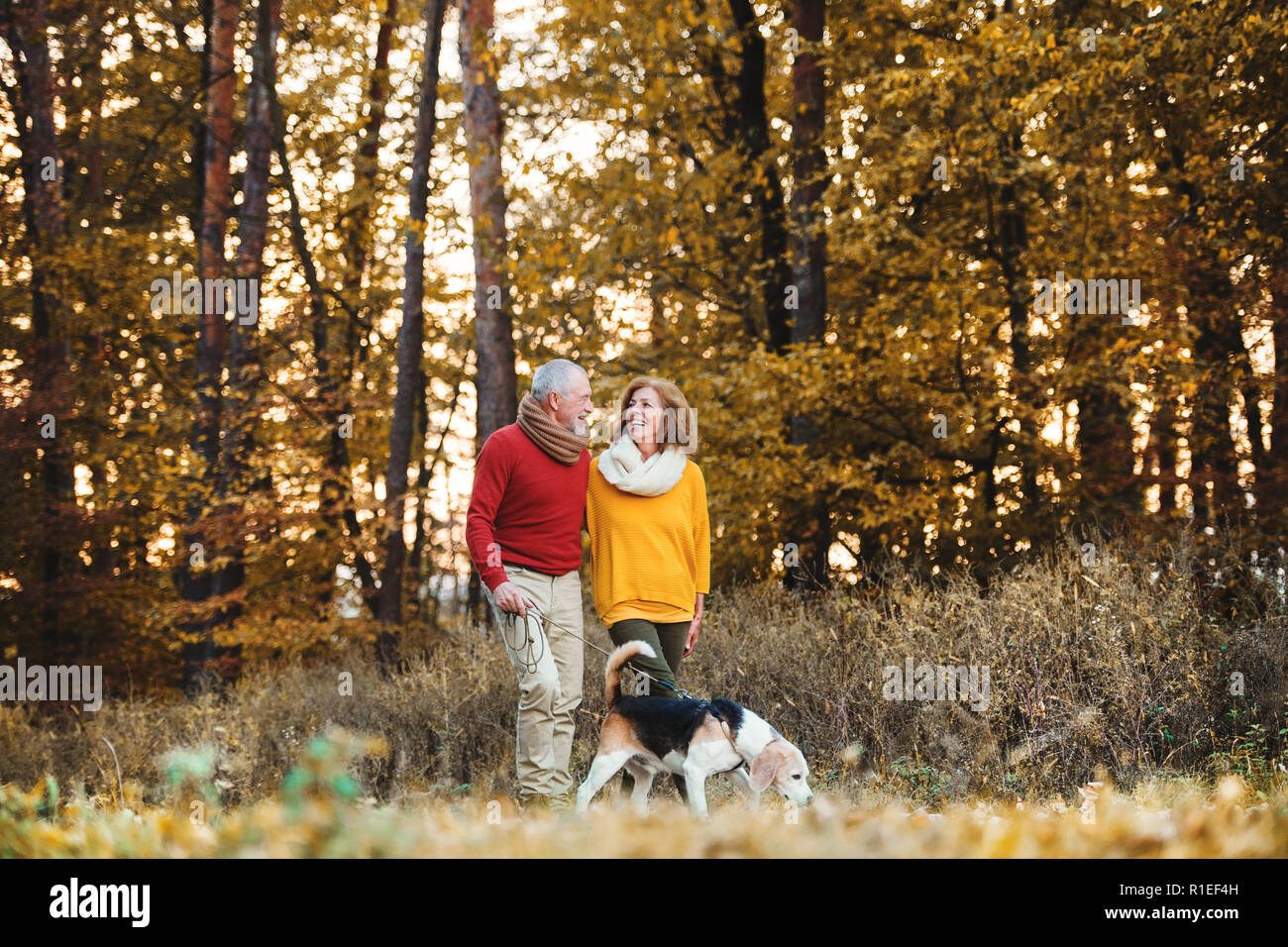 A senior couple with a dog on a walk in an autumn nature Stock Photo ...