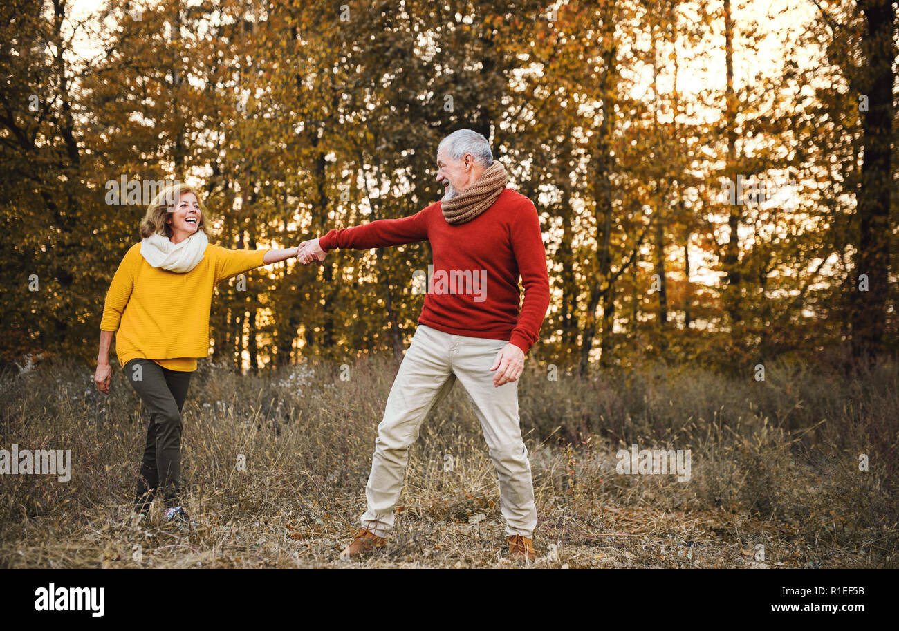 Cheerful man talking holding hands hi-res stock photography and images ...