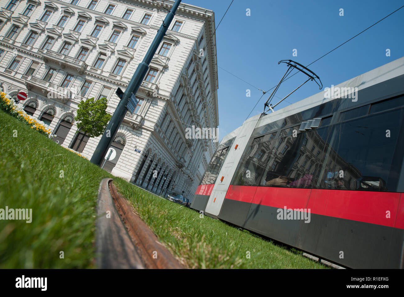 Wien, Straßenbahn auf Rasengleis Stock Photo