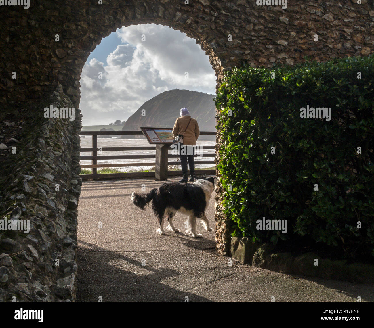 A woman looks out towards High Peak from Connaught Gardens in Sidmouth, Devon. Stock Photo