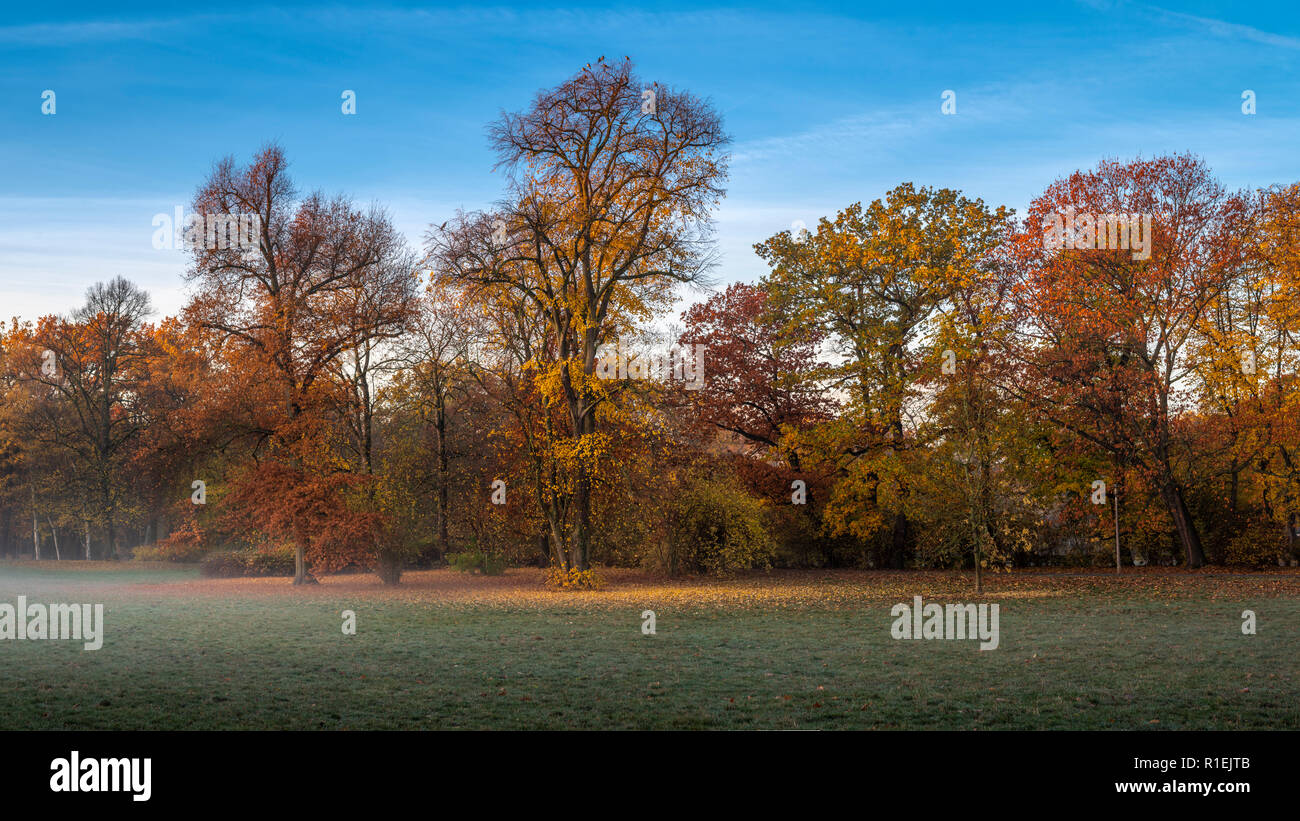 Autumn morning in Clara Zetkin Park Leipzig | Herbstmorgen im Clara-Zetkin-Park Leipzig, Germany Stock Photo
