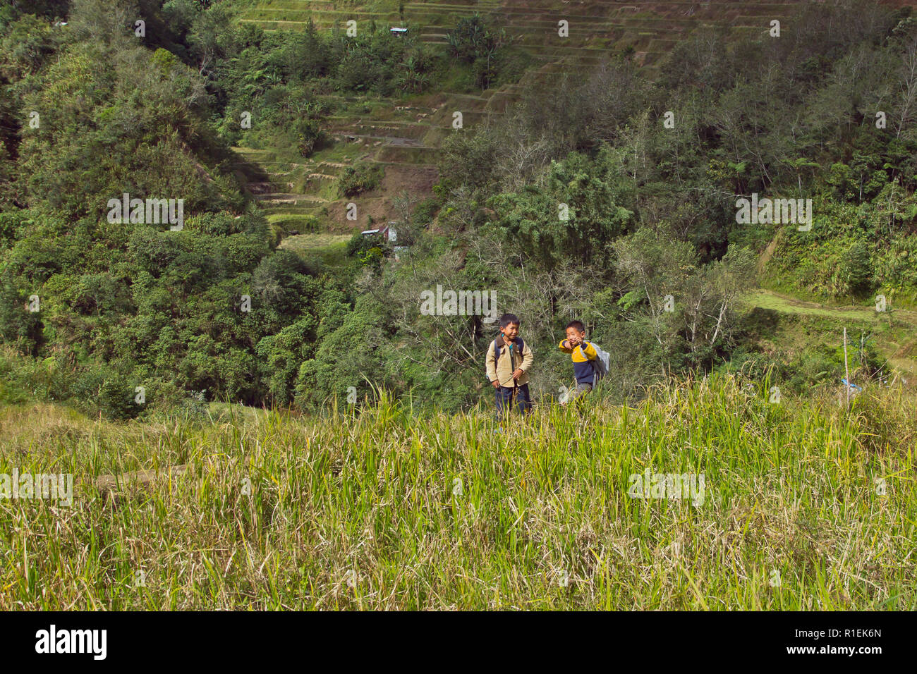 The Banaue Rice Terraces are carved into the mountains of Ifugao in the ...