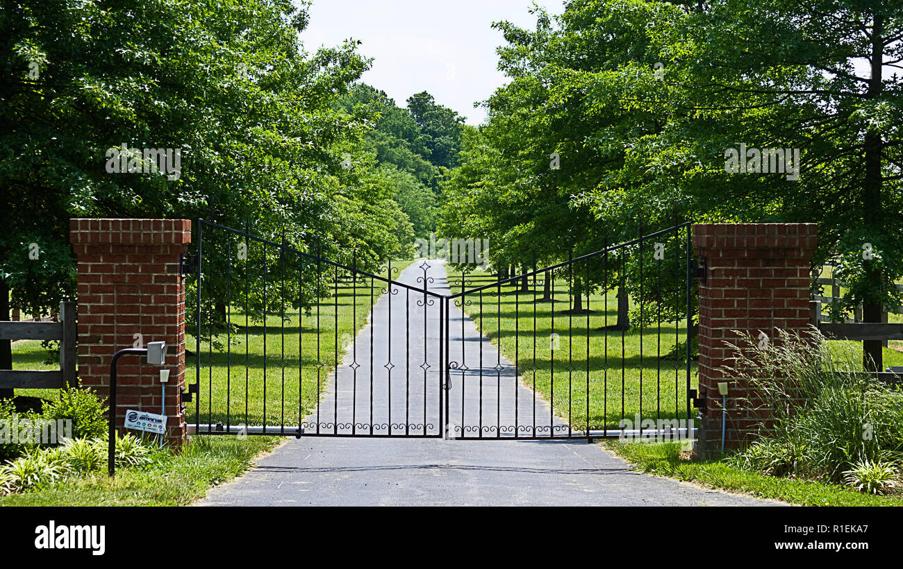Chateau Down Driveway Trees Creating Tunnel Stock Photo 1423571123