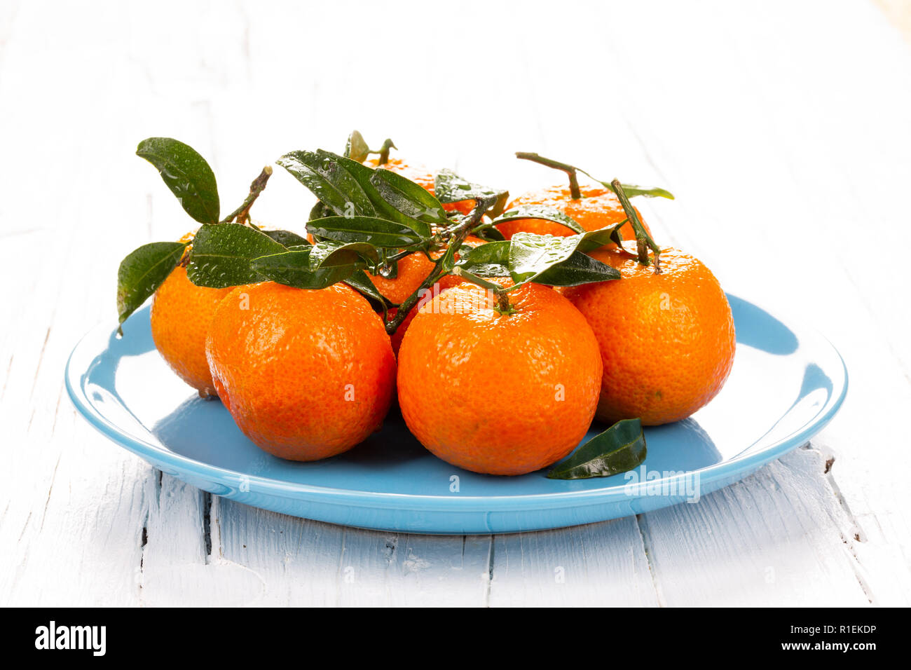 Blue plate with tangerines with green leaves on white wooden board, backlit, contre-jour shot. Stock Photo