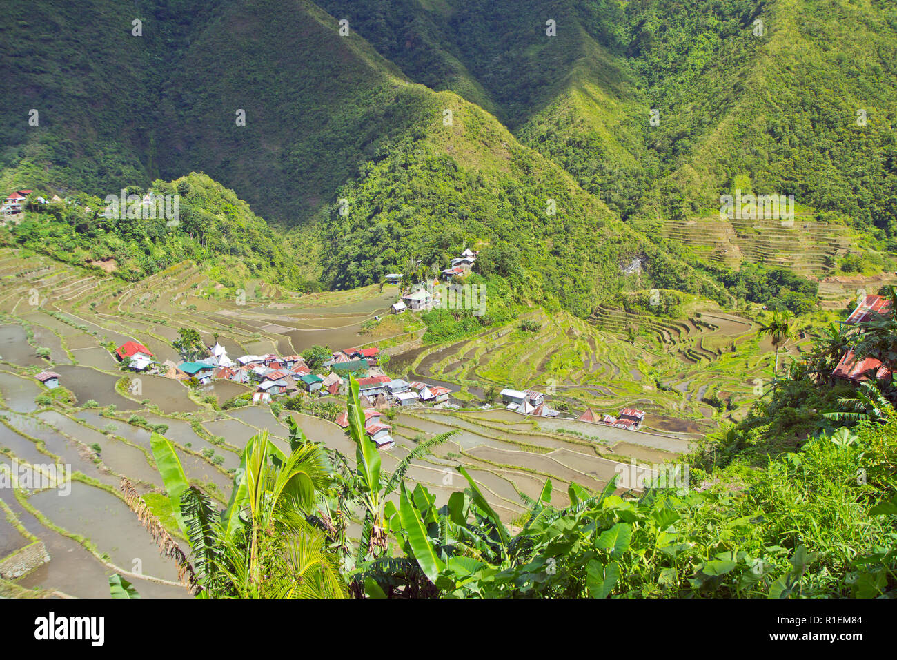 Batad is a remote village of around 1500 people in Ifugao province. It's said to be home to the best and most well-preserved rice terraces Stock Photo