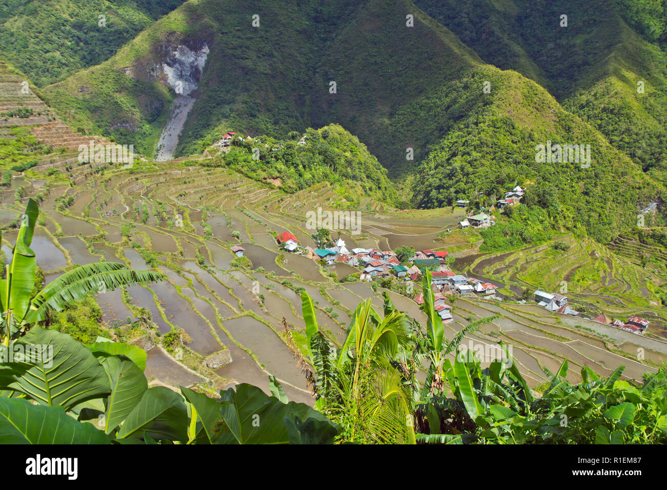 Batad is a remote village of around 1500 people in Ifugao province. It's said to be home to the best and most well-preserved rice terraces Stock Photo
