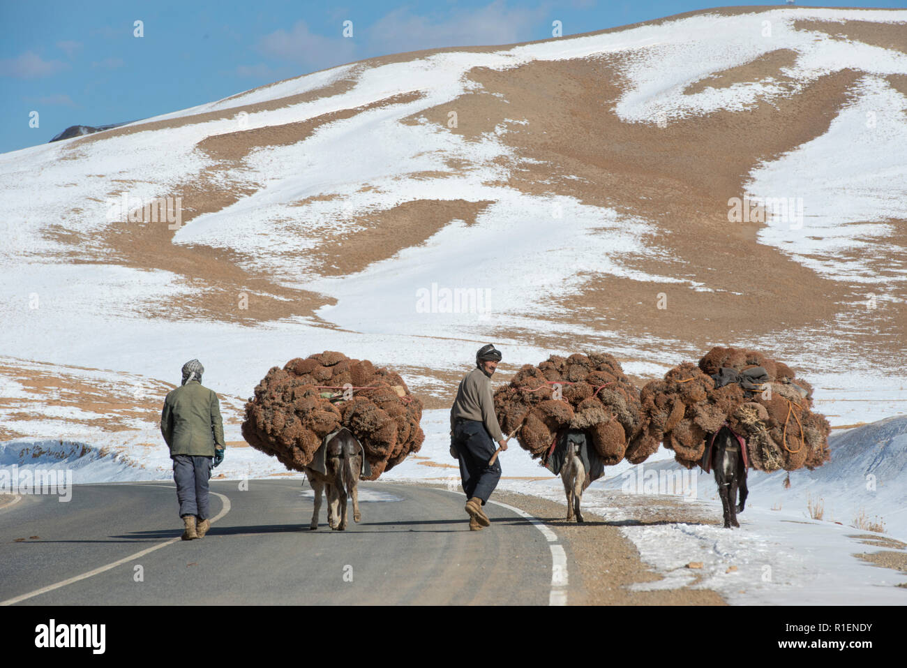 Two Farmers With Donkeys Bringing Back To Their Village Dried Grass To Feed Their Cattle, Band-e Amir National Park, Bamyan Province, Afghanistan Stock Photo