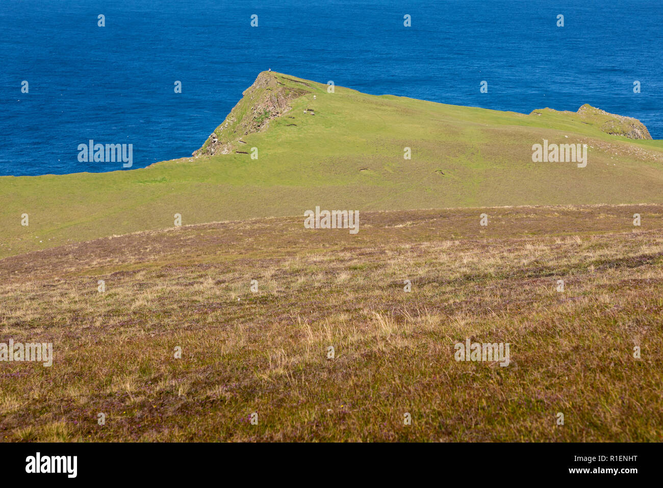 Landscape of Fair Isle, Shetland, UK Stock Photo Alamy