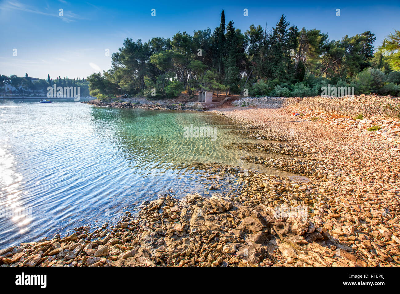 Pebble beach on Brac island with pine trees and turquoise clear ocean water, Supetar, Brac, Croatia, Stock Photo