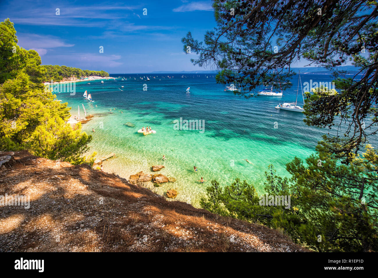 Seaside promenade on Brac island with pine trees and turquoise clear ocean water, Bol, Brac, Croatia Stock Photo
