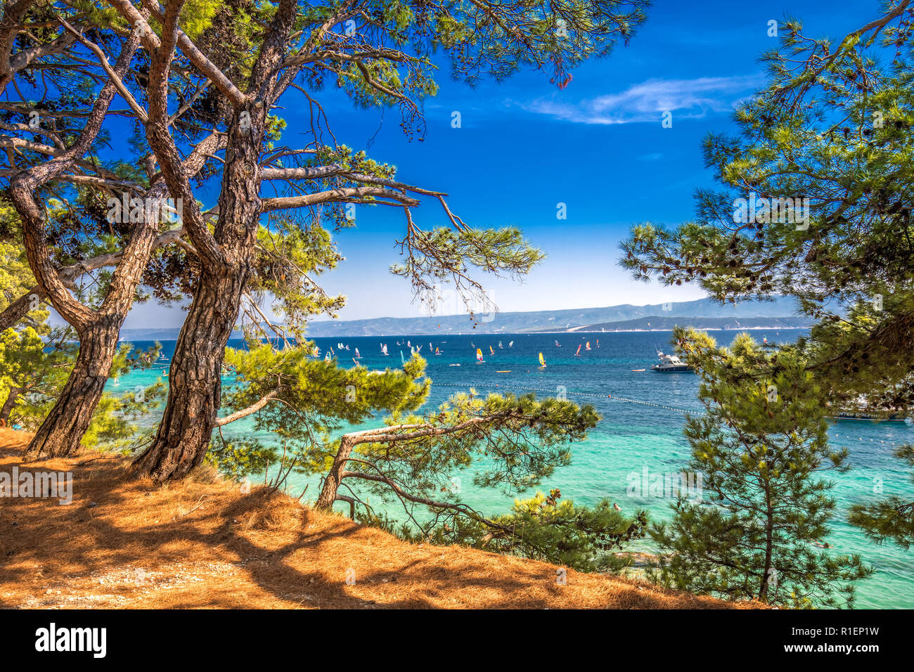 Seaside promenade on Brac island with pine trees and turquoise clear ocean water, Bol, Brac, Croatia. Stock Photo