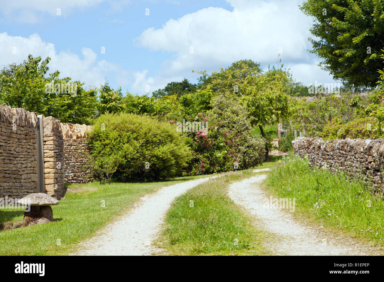 Country village path between golden stone walls, trees, flowering ...